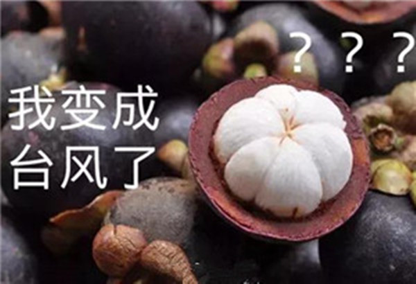 “山竹”還未走遠，但貝朗全自動彎線機已正常上班啦！
