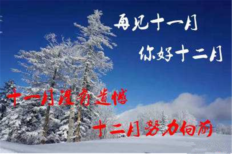 11月再見 ，12月你好——貝朗全自動鋼絲機