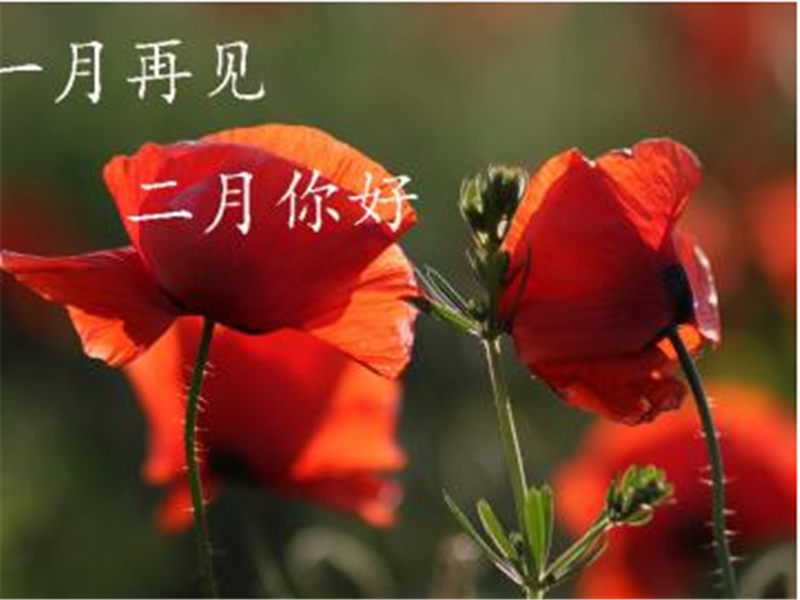 一月再見，美好的二月你好啊