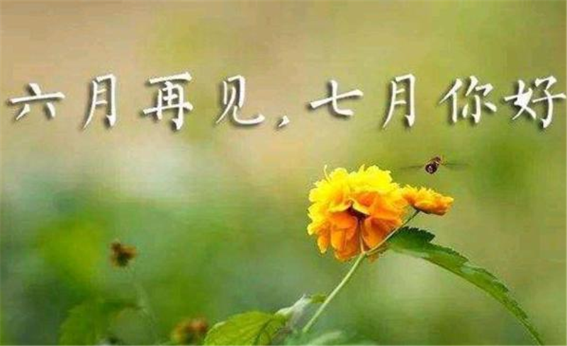 六月再見(jiàn)、7月你好